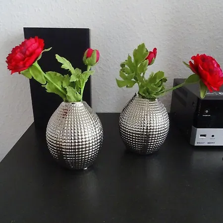 Appartement Zinglingstrasse-appartement-44 *